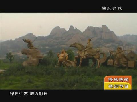 驿城区新闻《宣传片2月9》