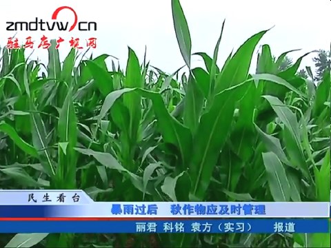 晚间播报《2016.07.15》