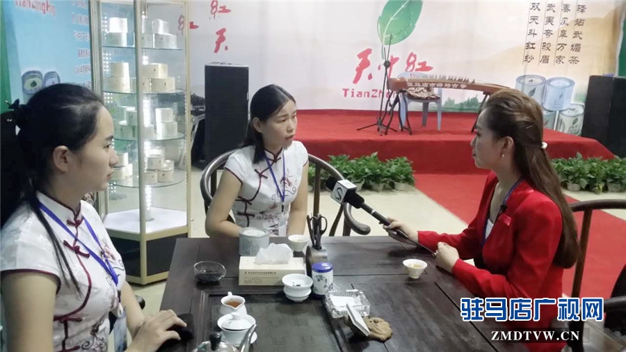 驻马店广播电视台记者在确山县展馆采访