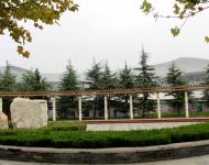 小游园