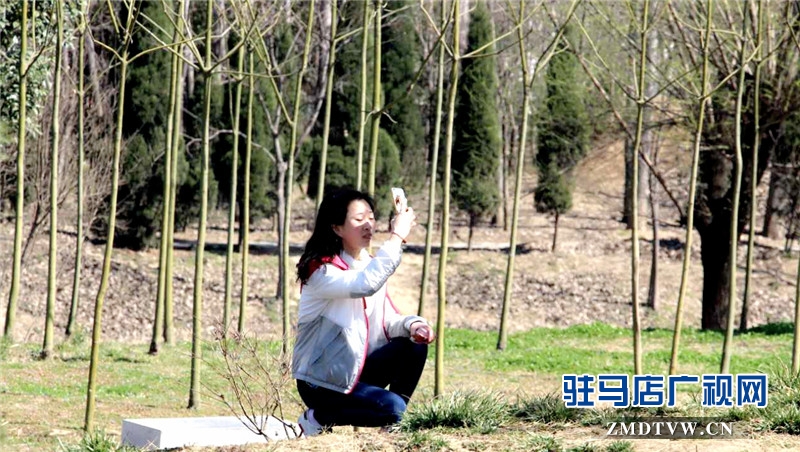 大风过后天晴朗 踏青游玩赏春光