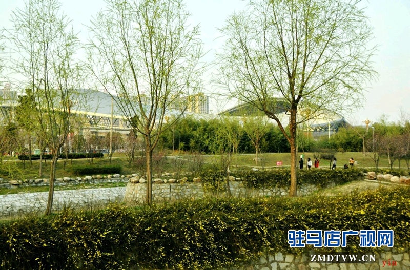 （摄影/殷建军）
