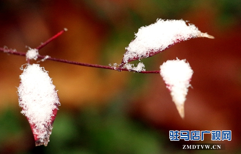 雪后的黄淮学院小景