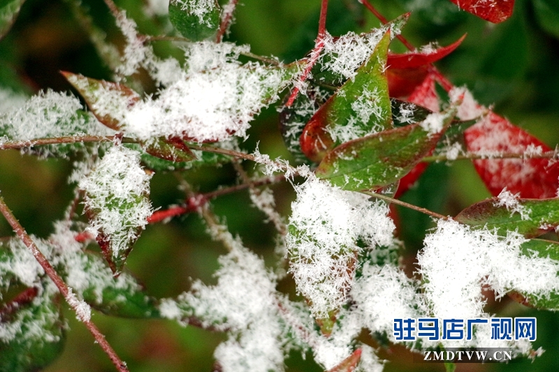 雪后的黄淮学院小景