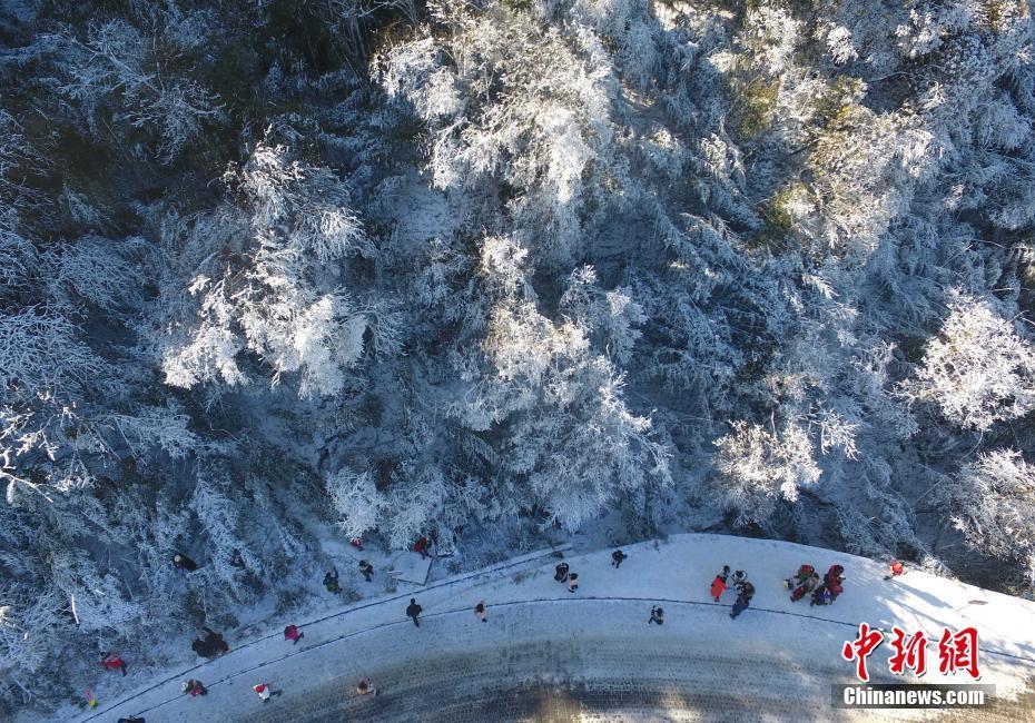 12月20日，重庆金佛山银装素裹雪景美如画，吸引了不少游客前来观赏。当日，第19届金佛山冰雪节正式开幕。 陈超 摄