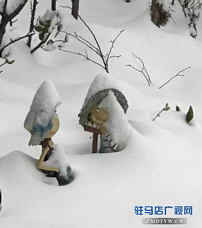 摄影/张新文
