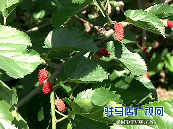 微信图片_20180509161724.png