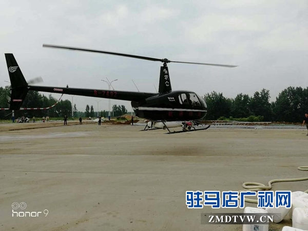 泌阳飞防消灭美国白蛾
