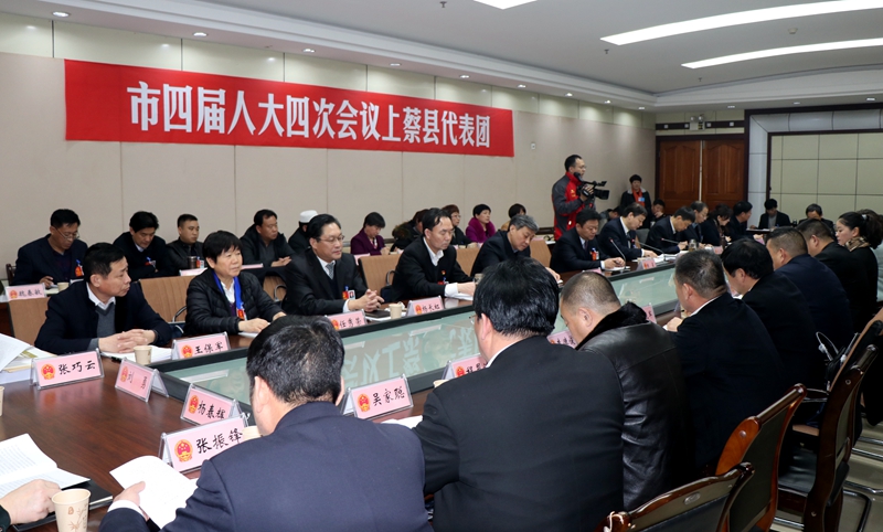 陈星、朱是西分别参加上蔡平舆代表团的分组审议
