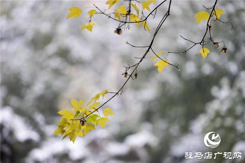 摄影/王向阳