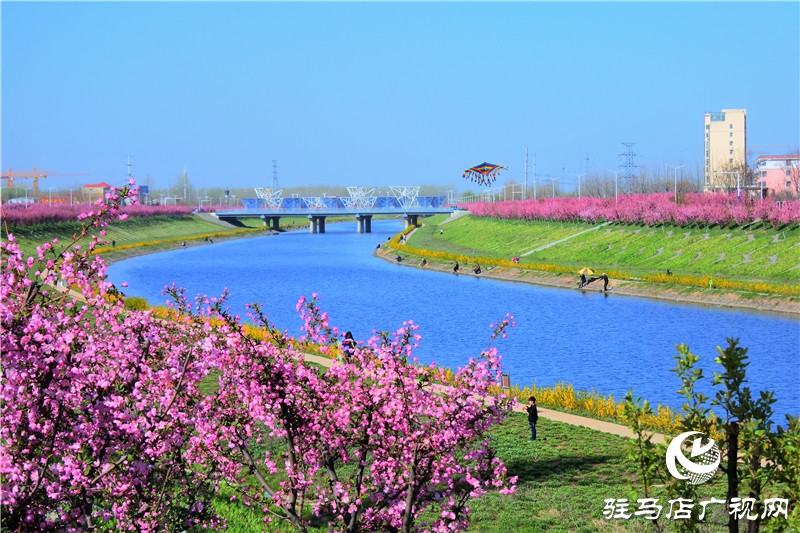 两岸绿树成萌，堤岸海棠飘香