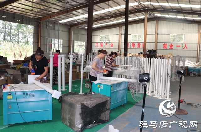 汝南县板店乡：产业筑牢乡村振兴根基