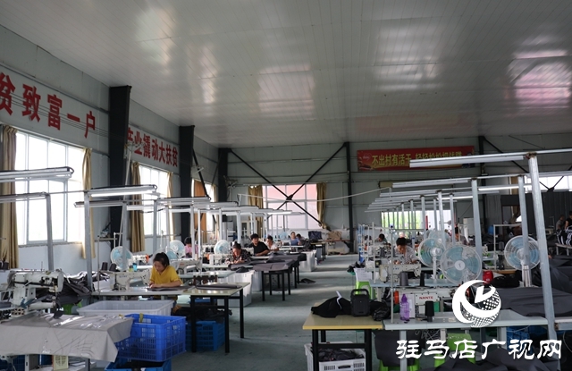 IMG_9732_wps图片