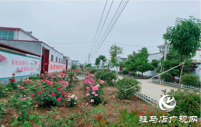 平舆：农村换新颜 百姓乐开怀