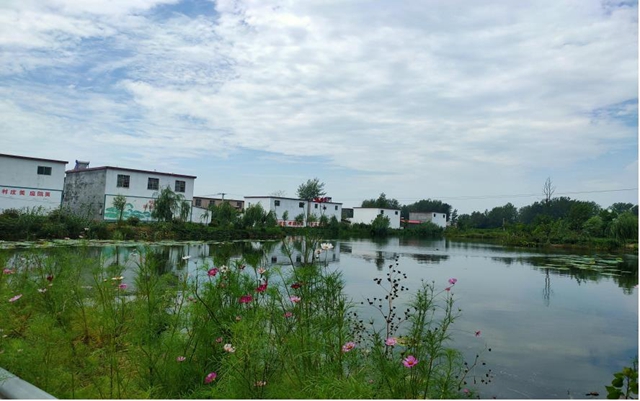 平舆宋刘村：村居换新颜 百姓乐开怀