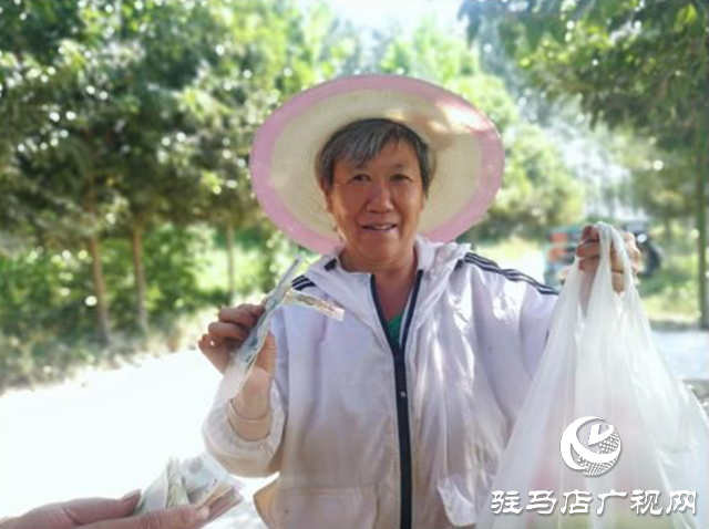 西平县五沟营镇：金银花种植助推脱贫攻坚