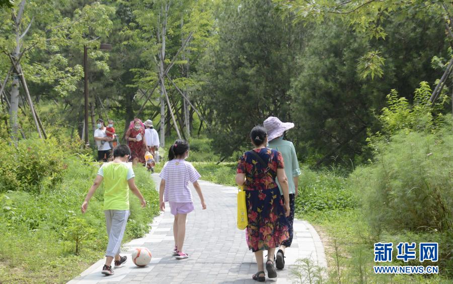 从“回天乏力”到“回天有术”——北京破解超大型社区治理难题样本观察
