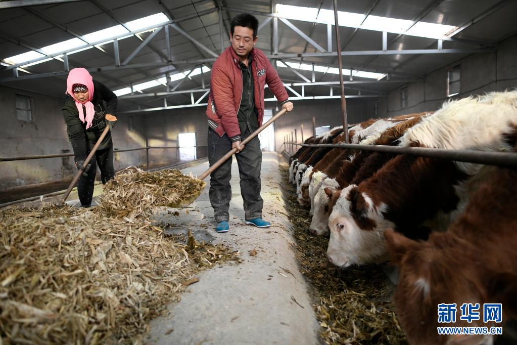 从《人类减贫的中国实践》白皮书看中国脱贫攻坚伟大历程
