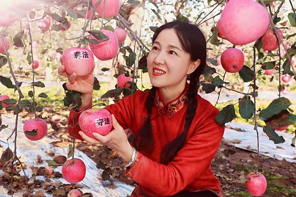 三门峡的苹果红了！今年产量约19.7亿公斤