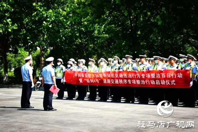 平舆县公安局 “七个发力” 确保“百日行动”取得实效