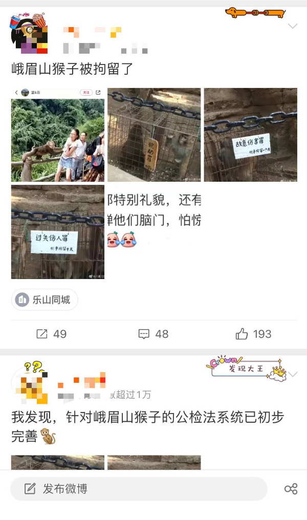 峨眉山猴子被拘留？假的！峨眉山猴子是国家二级保护动物