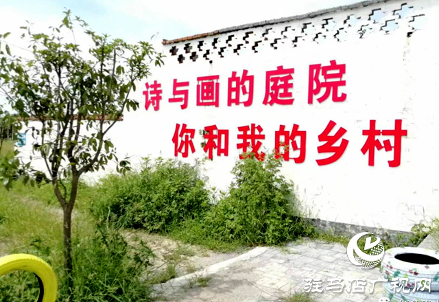 确山县刘店镇：“志愿红”引领“文明风”