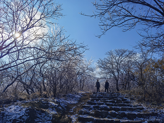 【组图】驻马店金顶山：漫山玉树琼枝如梦如画