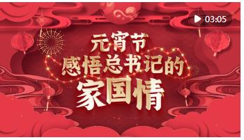 动画微视频｜元宵节 感悟总书记的家国情