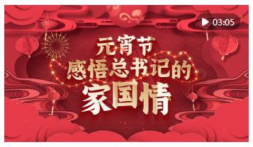 动画微视频｜元宵节 感悟总书记的家国情