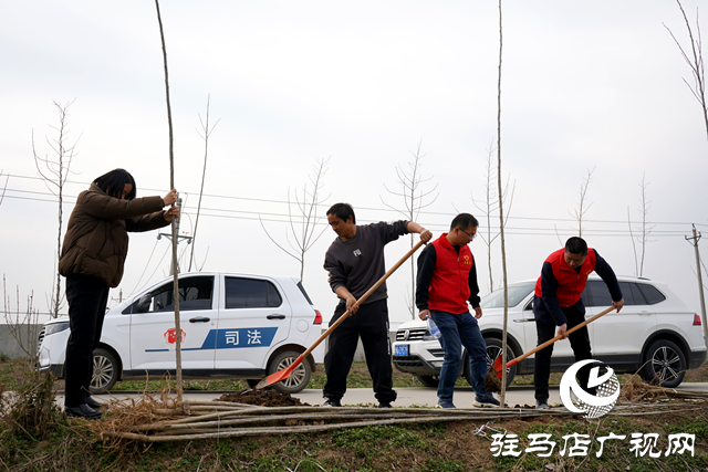 新蔡县河坞乡：植树添新绿 乡村“靓”起来