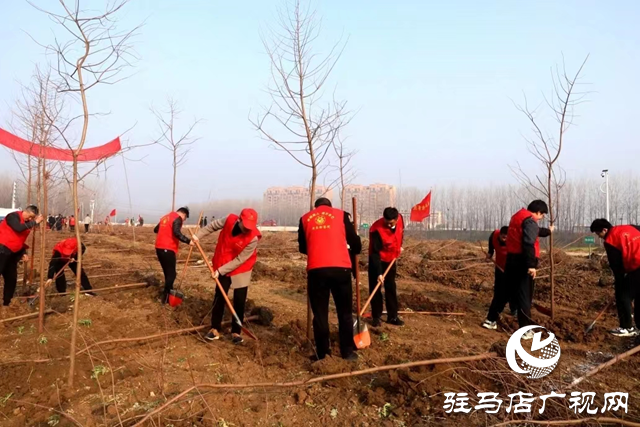 新蔡县人民检察院开展义务植树活动