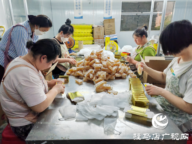 平舆县东皇街道： 抓党建促乡村振兴 为基层治理走深走实保驾护航