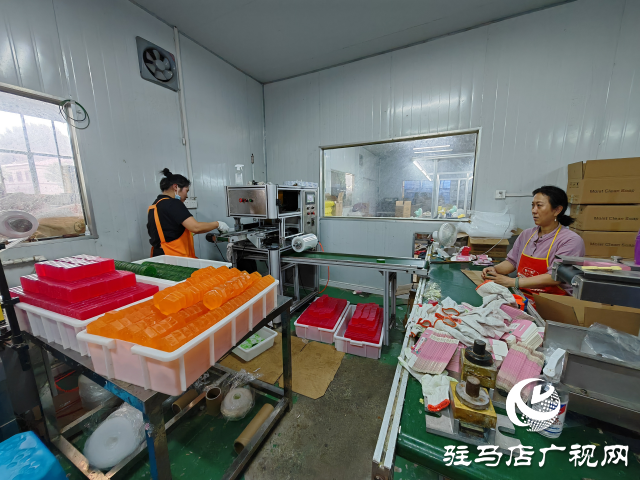 平舆县东皇街道： 抓党建促乡村振兴 为基层治理走深走实保驾护航