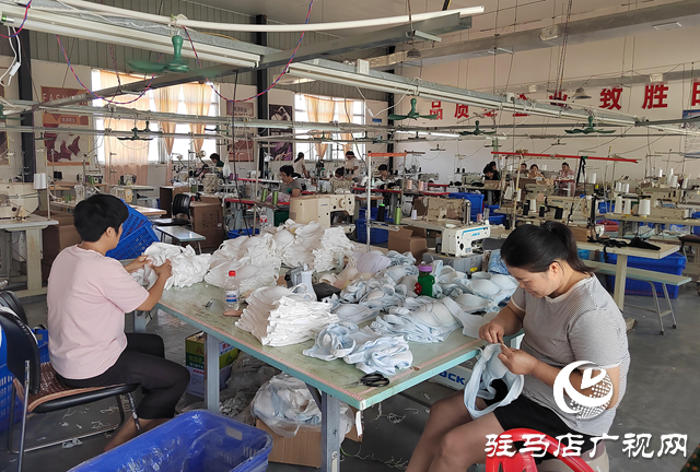 汝南县张楼镇：打造“产业兴旺星” 助力乡村振兴