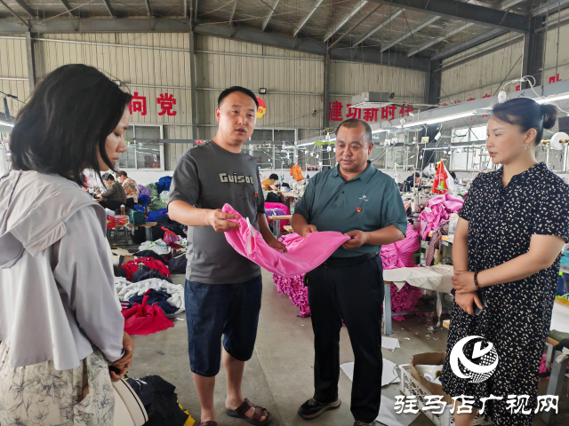 平舆县辛店乡黄寨村：以党建“双提升”活动为载体推进“三园”建设不断加速