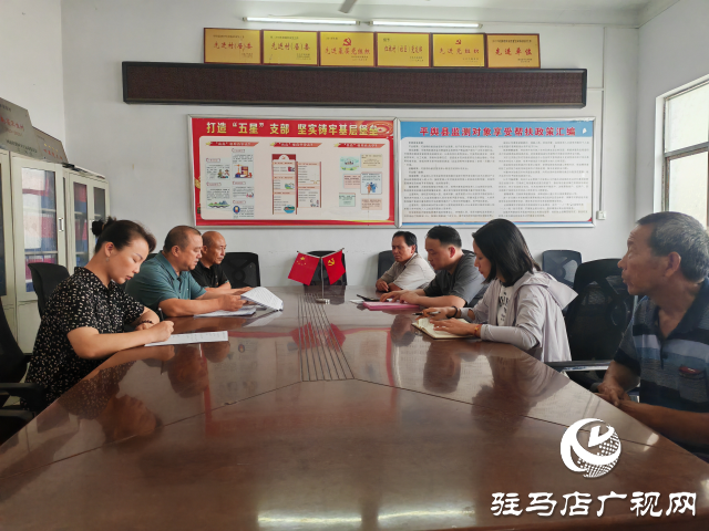 平舆县辛店乡黄寨村：以党建“双提升”活动为载体推进“三园”建设不断加速