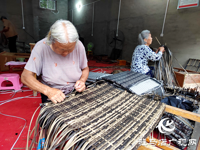 平舆县：实施“双提升”工程为乡村振兴注入源头活水