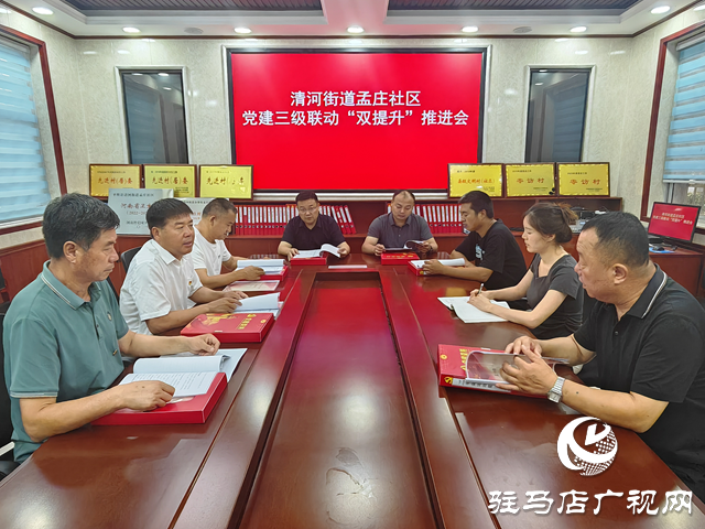 平舆县清河街道孟庄社区：党建三级联动“双提升” 激活“三园建设”新引擎