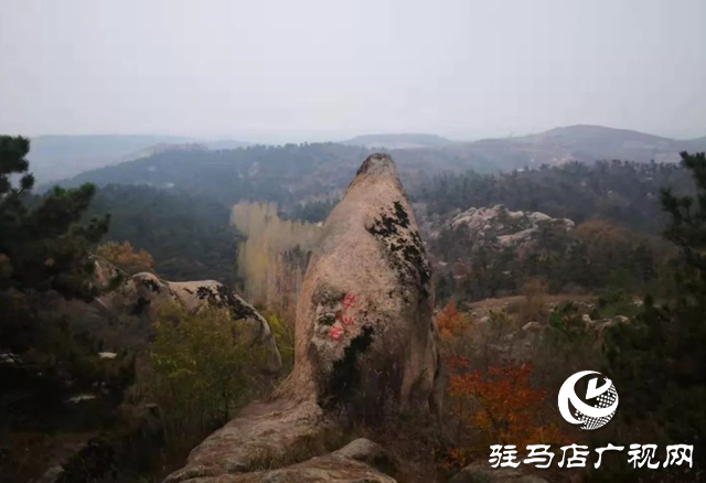 泌阳县岩生植物园：山石秀奇观 冬日里美如画卷