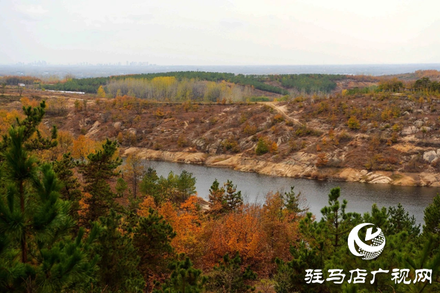 泌阳县岩生植物园：山石秀奇观 冬日里美如画卷