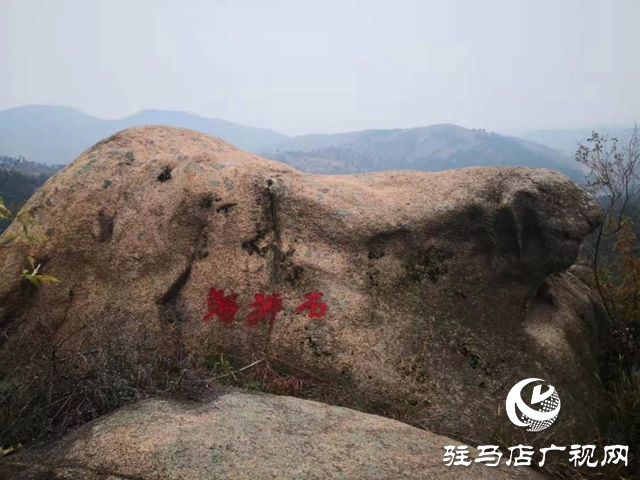 泌阳县岩生植物园：山石秀奇观 冬日里美如画卷