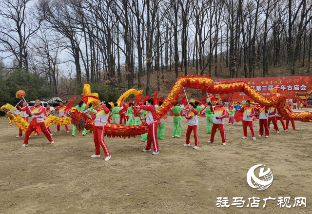 驻马店：龙舞闹元宵 欢乐贺新春