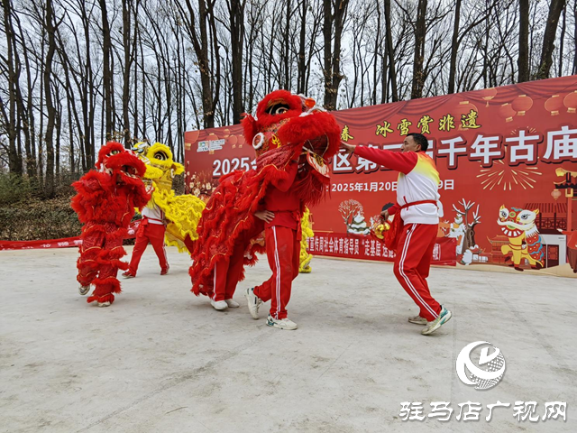 驻马店：龙舞闹元宵 欢乐贺新春