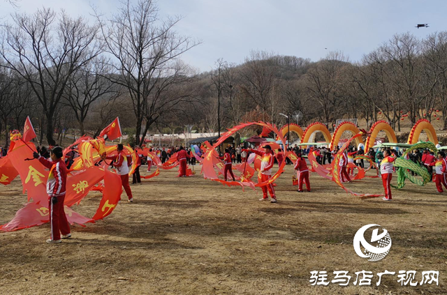 驻马店：龙舞闹元宵 欢乐贺新春