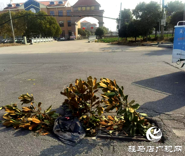驻马店经济开发区数字城管指挥中心：督促修复缺失井盖 维护市民人身安全