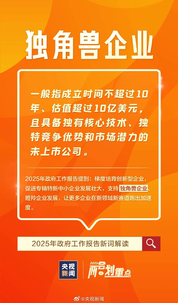 首次进入政府工作报告的“新词”有哪些？解读来了