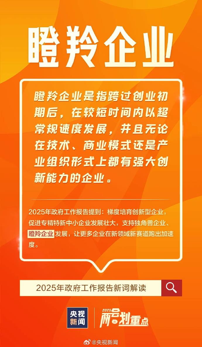 首次进入政府工作报告的“新词”有哪些？解读来了