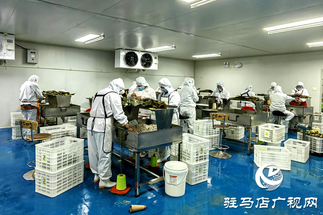 确山喜来顺食品：开足马力抢生产 奋战首季开门红