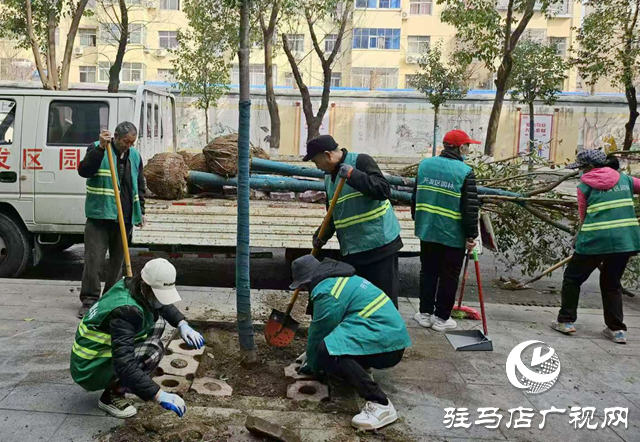 驻马店经济开发区城市管理局：“植”此青绿绘新篇