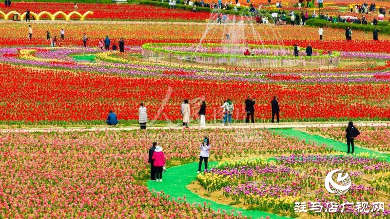 【邀您打卡】3月22日，嵖岈山郁金香园盛大启幕